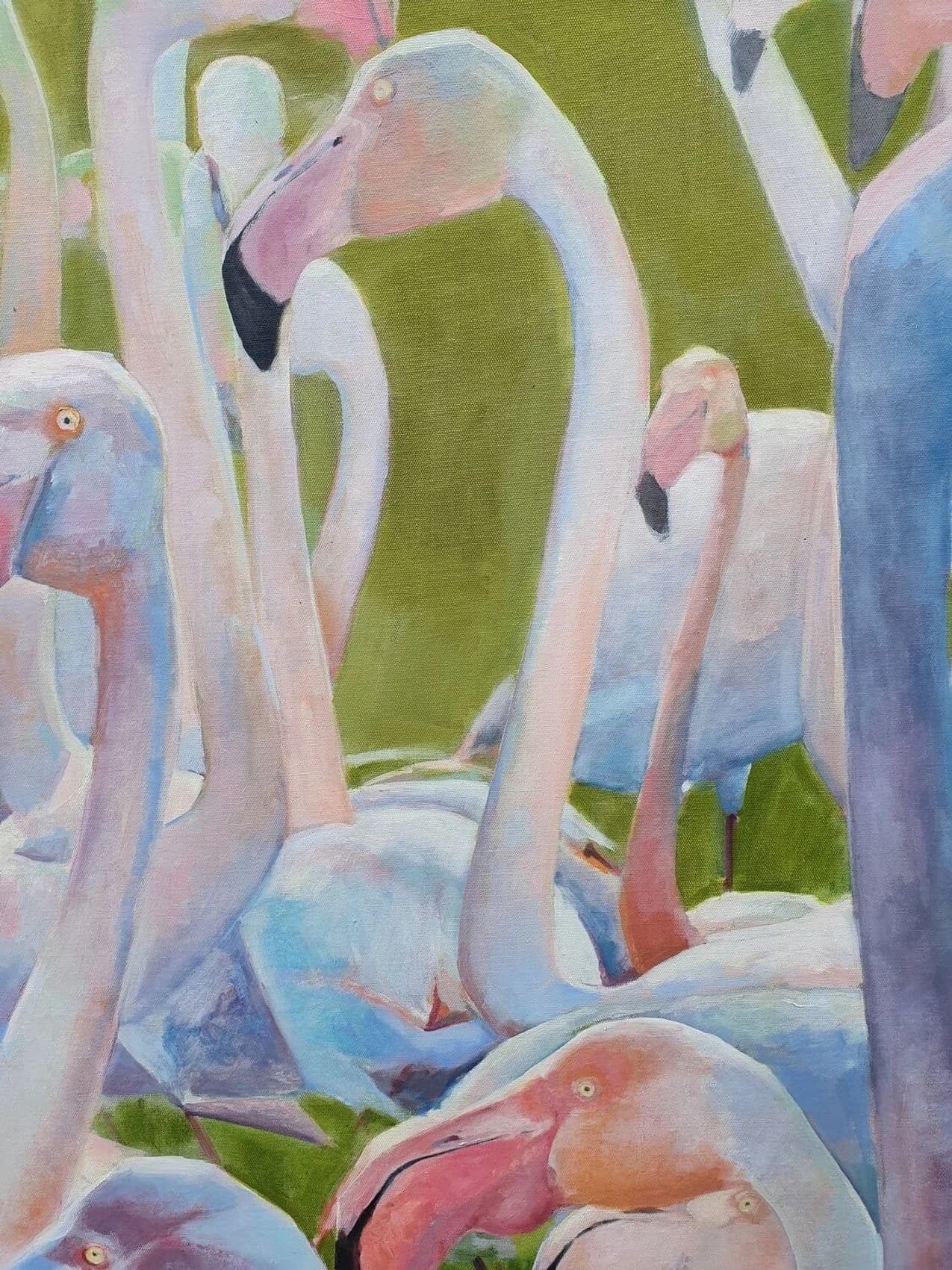 Flamingoschar — Ansicht 1