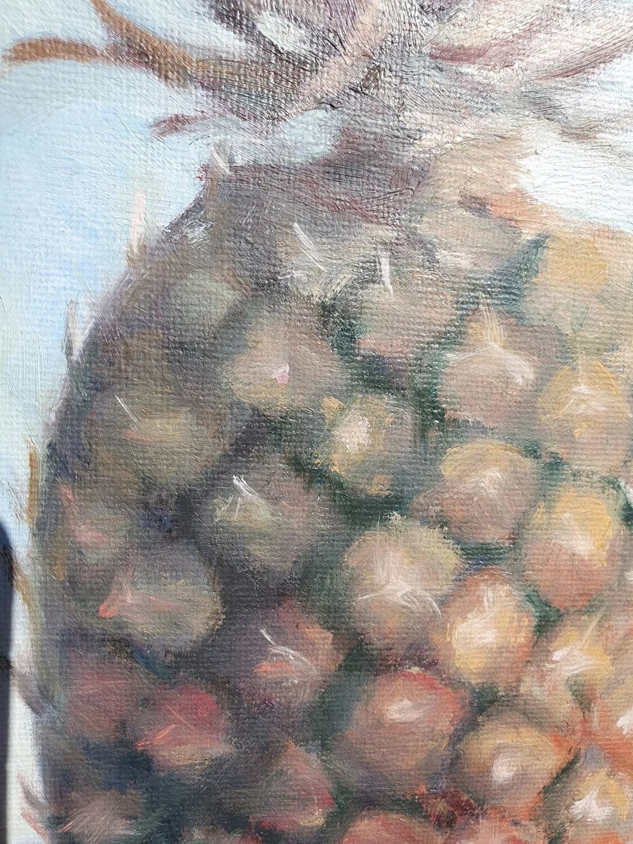 Kontraste der Natur — Ansicht 7